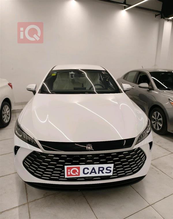 بي واي دي Qin Plus 2025 للبيع في العراق - دهوك